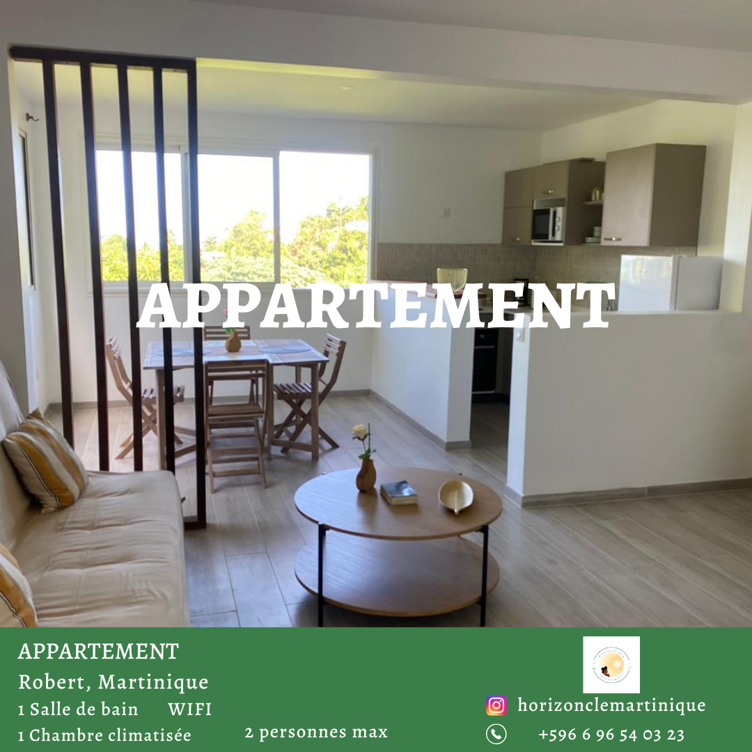 Appartement robert1