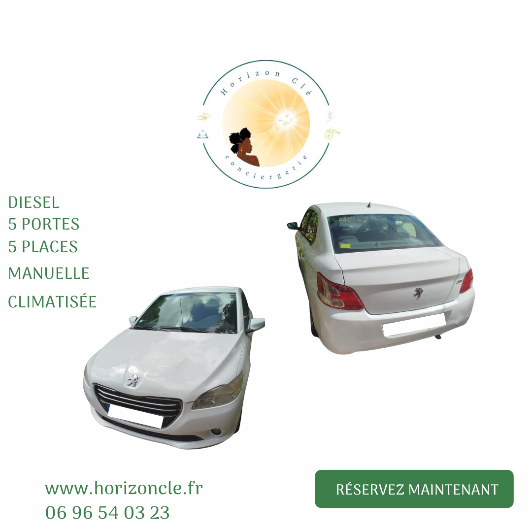 Location peugeot de 301 1